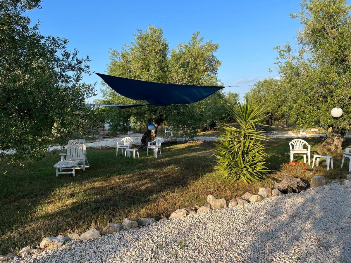 B&B Villa Mediterranee Con Parking Space Трані Екстер'єр фото