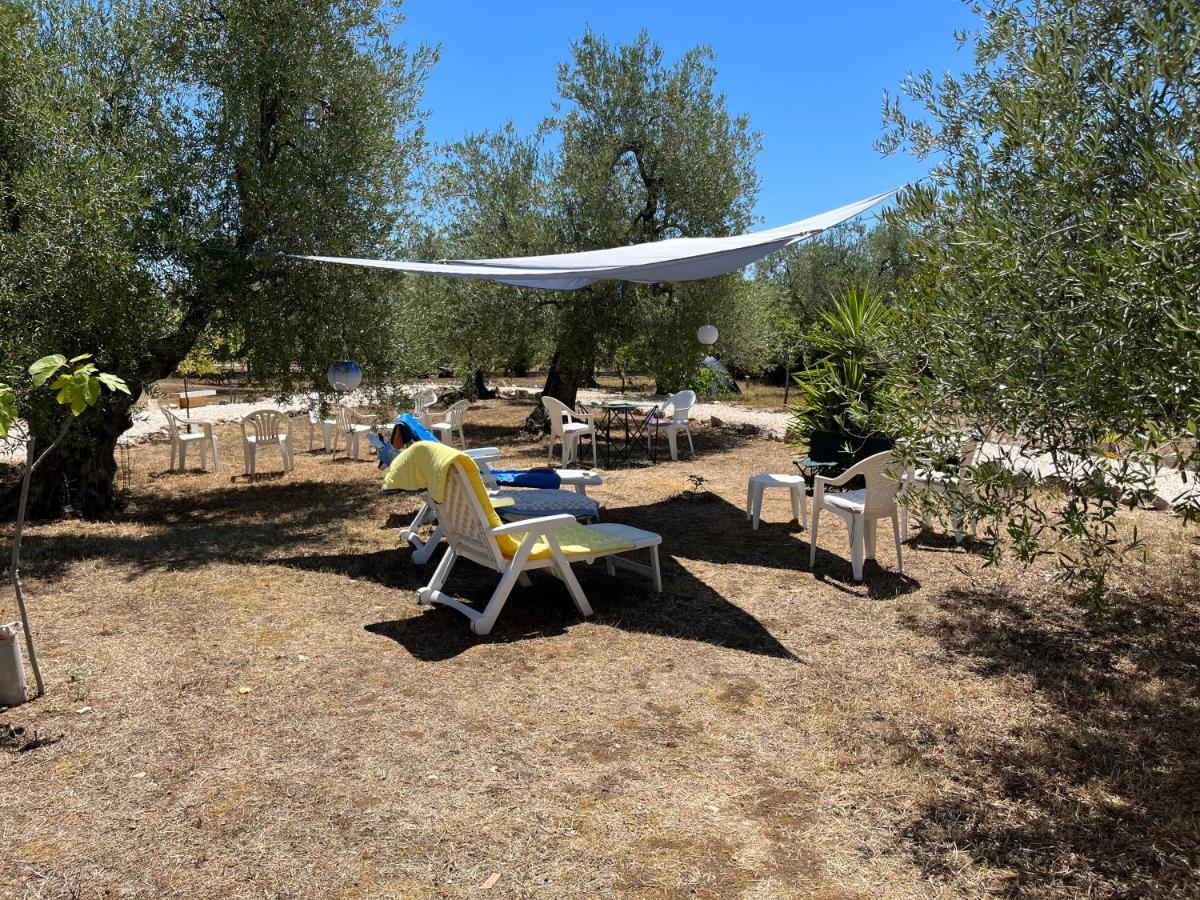 B&B Villa Mediterranee Con Parking Space Трані Екстер'єр фото
