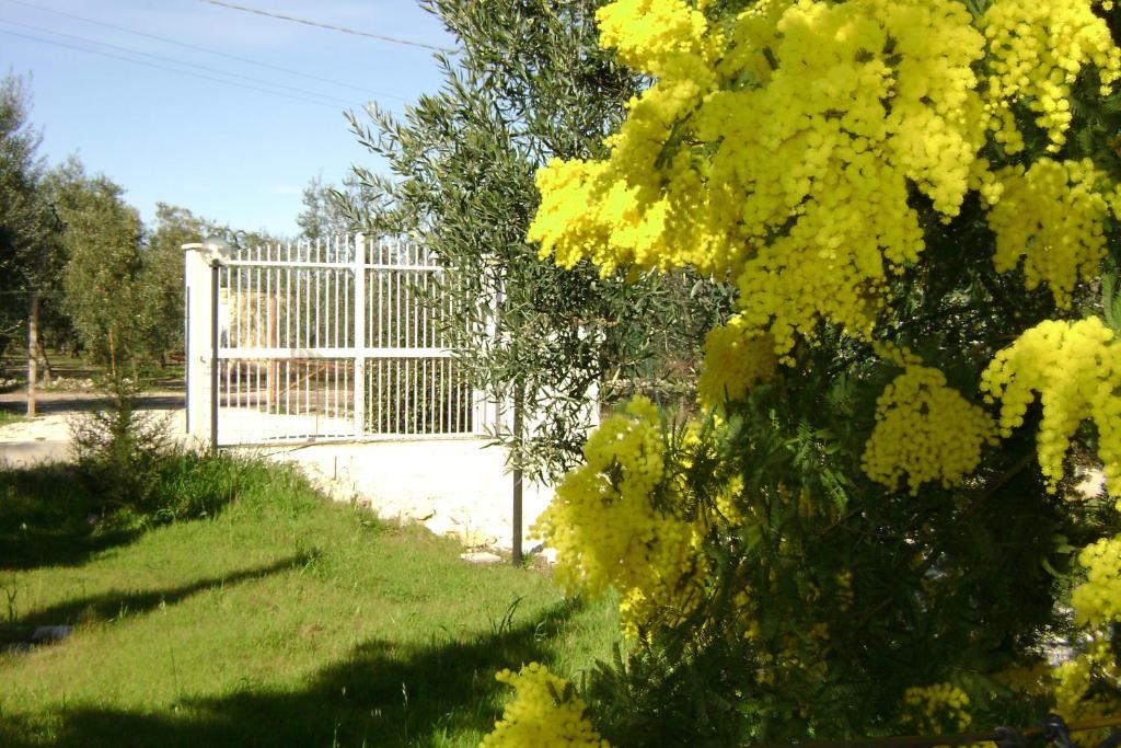 B&B Villa Mediterranee Con Parking Space Трані Екстер'єр фото